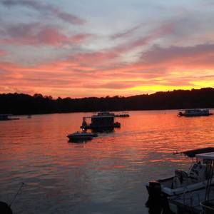 Meet your Posher, Jerry